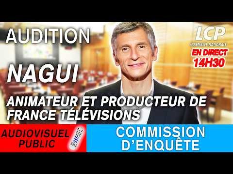 [DIRECT] Audiovisuel public : audition de Nagui - 01/04/2026