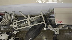 The I-flow concept of the Lely Astronaut A5 robotic milking system gives the cow a straight path in and out of the box. The spacious design of the robot is a great fit for cows of all sizes and gives them continuous interaction with the rest of the herd. Learn more: https://bit.ly/3I4lRjw | Lely | Facebook