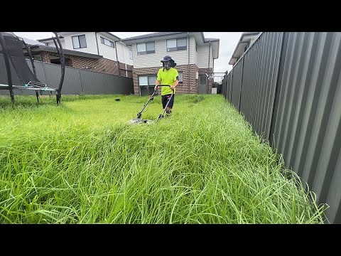 What would you FEAR most in this overgrown AUSTRALIAN yard?