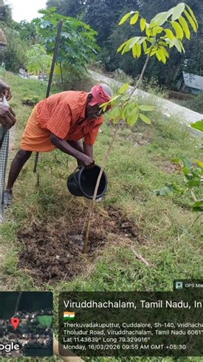 எம் என் நம்பியார்