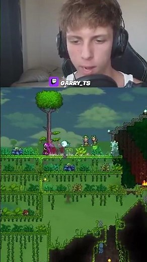 What to do with the mystic frog in terraria... #gaming #terraria #stream