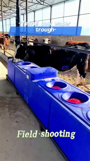 convenient and easy to clean cow waterer with 100-120l/min flow rate