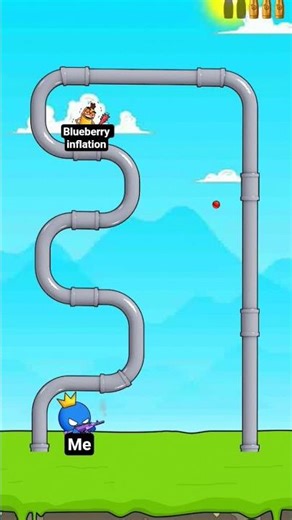 #stopblueberryinflation