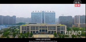 纪录片《又见阜阳》