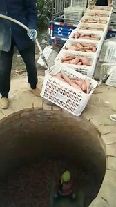 Sweet potato cellar storage process | DIY - Restoration Garage