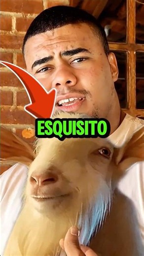 The goat that pees in its own beard! Bitelo and Wagner Bortolato smelled the real scent of the Sh...