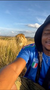 Friendly lion… #viral #trending #lion | David Miles