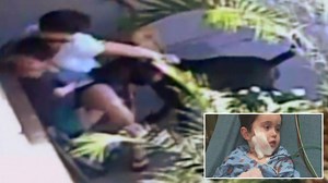 Hero Mom: Woman Uses Her Own Body to Shield Son From Vicious Dog Attack