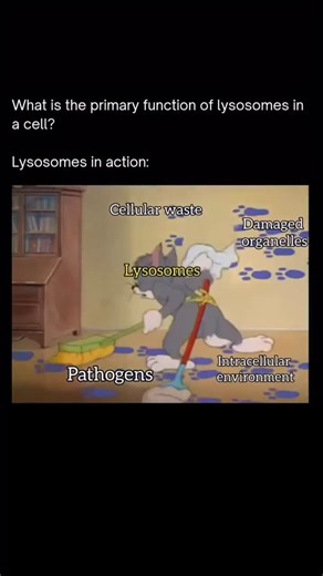 GenCore Biology 501(c)(3) Sponsored Nonprofit on Instagram: "GCBiology is a nonprofit organization founded in 2024, geared toward delivering free professional tutoring in AP Biology, both via online group sessions and one-on-one formats . Mission & Vision Mission: Provide accessible, high-quality AP Biology tutoring to support student success in advanced biology coursework and exams . Vision: Broaden access to science education by offering engaging, expert instruction—especially beneficial for s