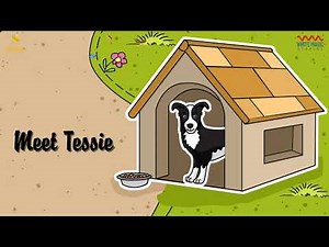 Tessie Dog and FarmYard Friends - Book Trailer | White Magic Studios