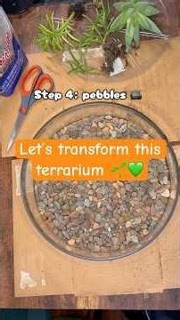 Terrarium transformation #plants #terrarium #houseplants #howto #terrariumsetup #terrariums