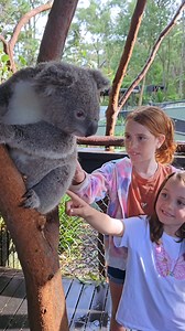 The Australian Reptile Park is the best place for hands-on animal interaction these school holidays! 💚🐨🦘🐢🧡 📍Australian Reptile Park, Central Coast, NSW - just an hour from Sydney or Newcastle | Australian Reptile Park