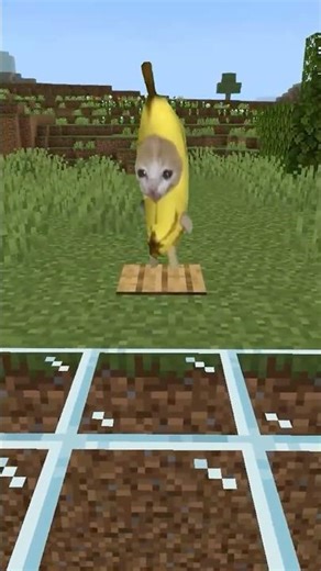 バナナ猫のドロッパー #マイクラ #猫ミーム #bananacat