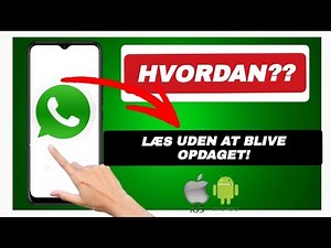 Sådan skjuler du blå flueben i WhatsApp | Slå læsekvitteringer fra – Komplet guide