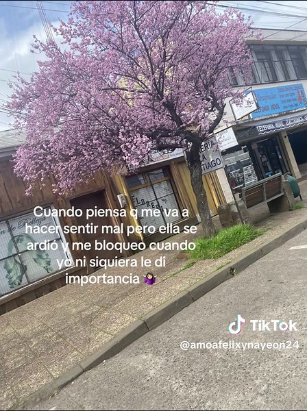 Drama de Bloqueos: ¿Por qué me bloquean?