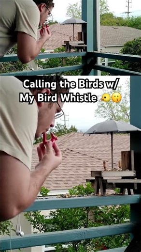 Calling the Birds w/ My Bird Whistle