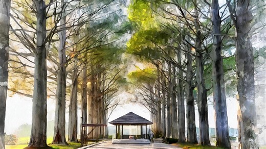 New plans for West Des Moines arboretum include 300 trees, museum with crafts, playground