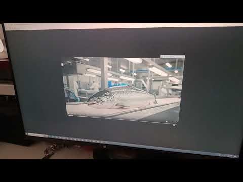 How to use Adyt bot for video and voiceover