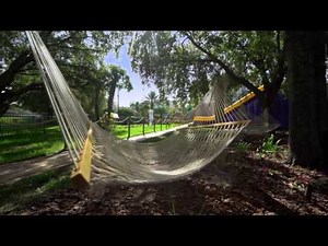 Calypso Cay Resort - Castaway Cove Adventure Park