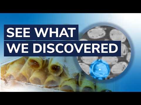Detecting Hidden Gasket Material in Taquitos with CT Inspection