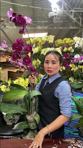 (Flower Reference) Hotline: 090.317.7978 ☎️☎️