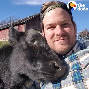 39M views · 1.1M reactions | This guy was working a 9-5 job – until he decided to turn his family’s farm into an animal sanctuary. Now he's having the BEST time, and falling in love with each and every animal he rescues  | The Dodo | Facebook