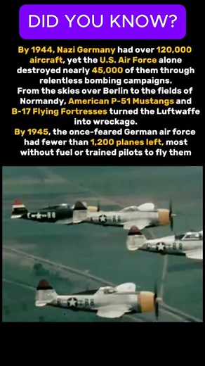 74K views · 556 reactions | Over 45,000 nazi aircraft were destroyed by the US airforce during WW2 #history #war #ww2 #shortsreels | Declassified Archives | Facebook