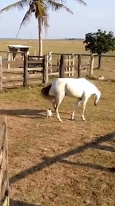 Don’t be chicken! 😂😂😂 | 400 Degrees Hot Chicken