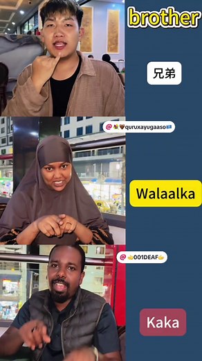 Exploring Different Sign Languages Around the World