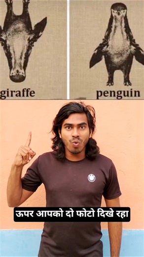 FLIP THE PHONE THEY SWITCH! 😱🦒🐧