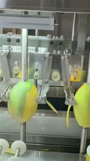 mango peeling machine with lots of speed and efficiency#fruit #food