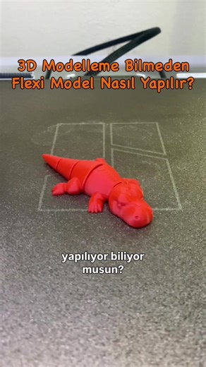 Flexi Model Yapımı: 3D Modelleme Rehberi