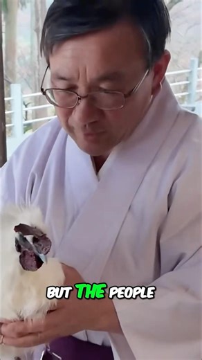 What Traditional Japan Is Really Like