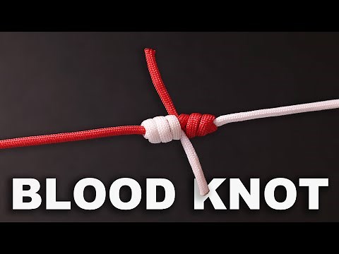 The Easiest Way to Tie a Blood Knot