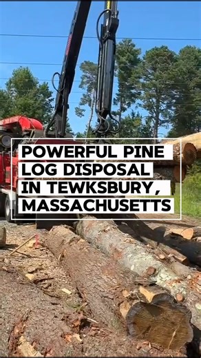 2.1K views · 12 reactions | Tewksbury, MA — Powerful Pine Log...