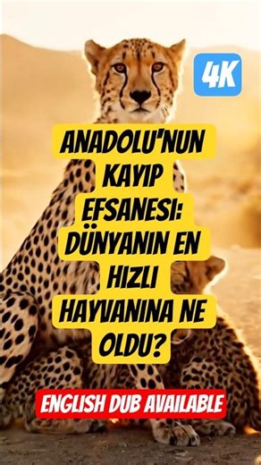 Anadolu'nun Kayıp Efsanesi: Dünyanın En Hızlı Hayvanına Ne Oldu? #shorts #belgesel #travel