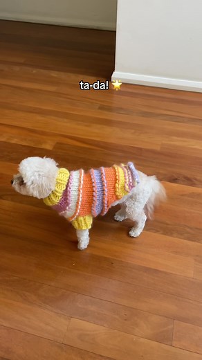 Knitting a Dog Sweater: Zero to Hero Coat Pattern