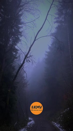 Inspiring Quotes for Motivation and Growth