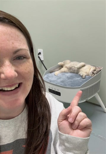 Pet parents, this is a MUST-HAVE 🔥🐾 This pet-friendly space heater with built-in air filtration is one of the best-selling pet items right now — and I totally get why. It keeps your pets warm without overheating, helps improve air quality, and is designed with pet safety in mind. Perfect for cats, dogs, and small pets who love cozy spots during colder months. If your pets are glued to the heater lately, this is the upgrade they deserve 🐶🐱❄️ #petfriendlyheater #petmusthaves #bestsellingpetpro