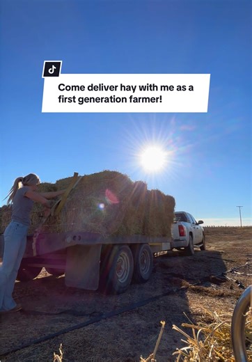 Delivering Alfalfa Hay: A Farmer's Journey
