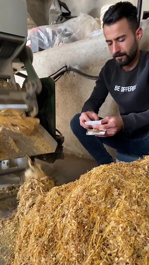 Threshing Grain Process Explained with Images