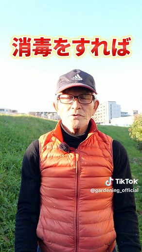 プランターの土を超簡単消毒する方法！#土壌改良 #土作り #プランター #家庭菜園 #農園 #栽培 #農家