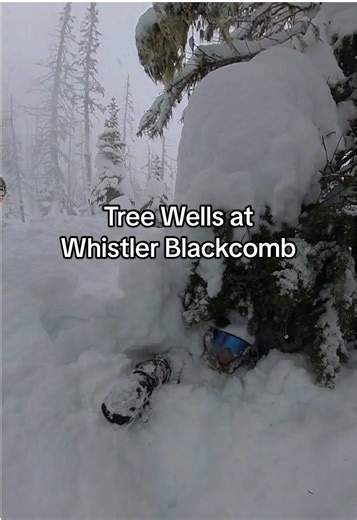It doesn’t take much to end up here. There are some massive tree wells after the last storm at Whistlerblackcomb. Make sure you’re riding with buddies in the trees and carry avalanche rescue gear if you have it. #whistlerblackcomb #whistlerbc #whistler #snowboarding #skitok #treewell #snowboard #snowboarder