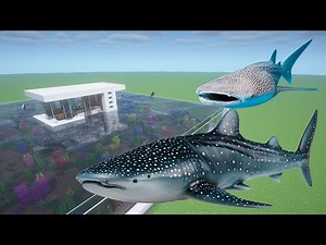 How To Make a Whale Shark Farm in Minecraft PE