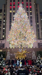 3.8M views · 96K reactions | The 2024 Rockefeller Center Christmas Tree is officially sparkling on Center Plaza  Are you planning to see it in person? | Rockefeller Center | Facebook