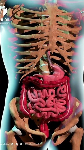 Gastritis and Ulcers: Understanding These Common Stomach Conditions