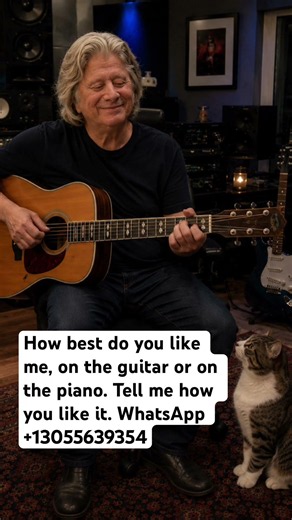 #guitar #playlist #80smusic #music #rnb #steveperrymusic #rock #cat #cats #studio #missyou