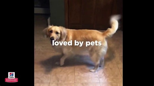 Hill's Pet Nutrition TV Spot, 'Loved by Pets: Spinning Retriever'