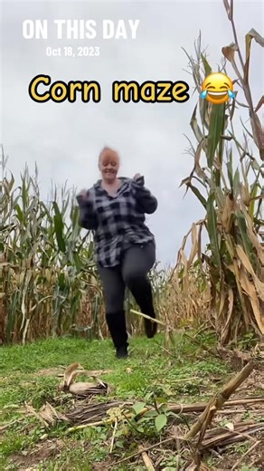 8.4K views · 284 reactions | Love fall ☺️ #Midwest #autumn | Sarah Buck | Facebook