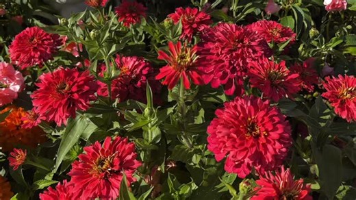 ☆ your relatable girly page 👛 on Instagram: "Turn your creativity into cash with @printify 💡 All you need to do is sign up, design your product, connect your store (Etsy or Shopify) and publish with one click! Printify takes care of production + shipping, so you can focus on designing and keeping the profit. 🤭🤍 AD: #printify"